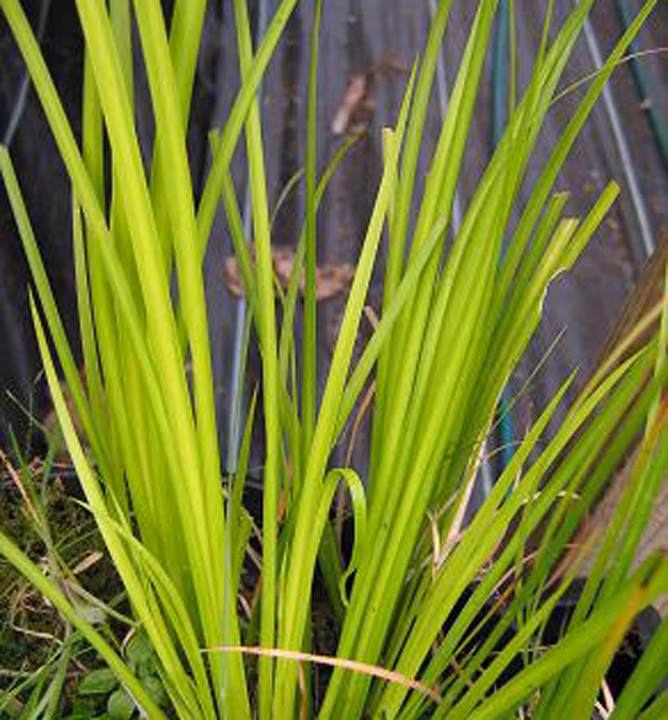 0b4202414b91517081f383ac1dae3b6c