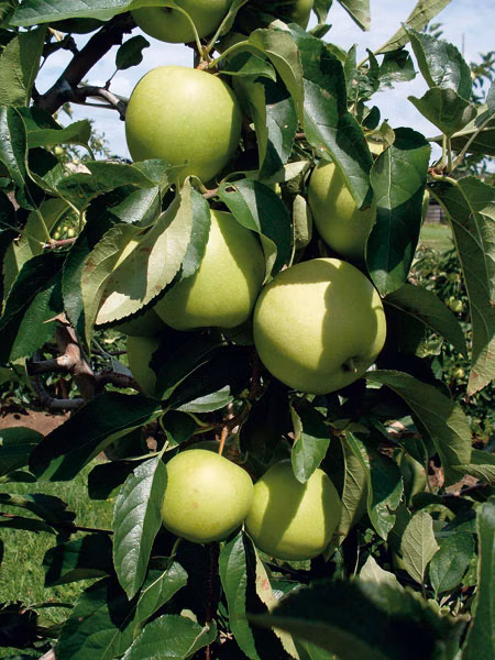 0b4ce12362d5040262a313f4de5b9b4c