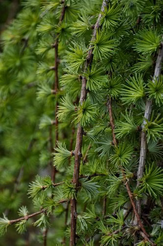 0b4e5324a9e777d367446e1d1eec9805