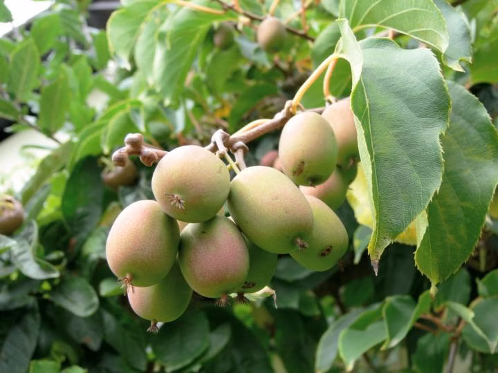 0b696128e2825398f8f9b8e603957555