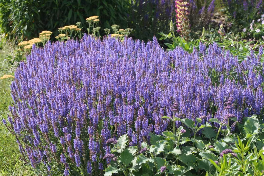 0b6ae2e83e9d894b09d447d75aad49c7