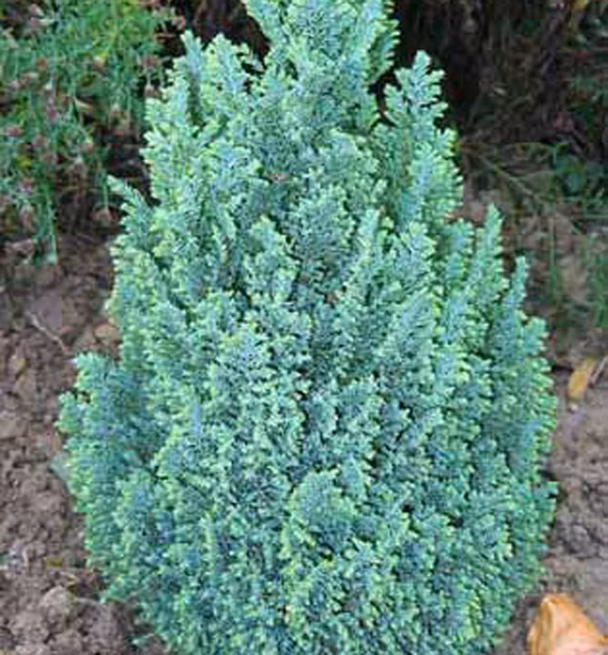 0bf82c242fd0dc68c14ea045d805bc9c