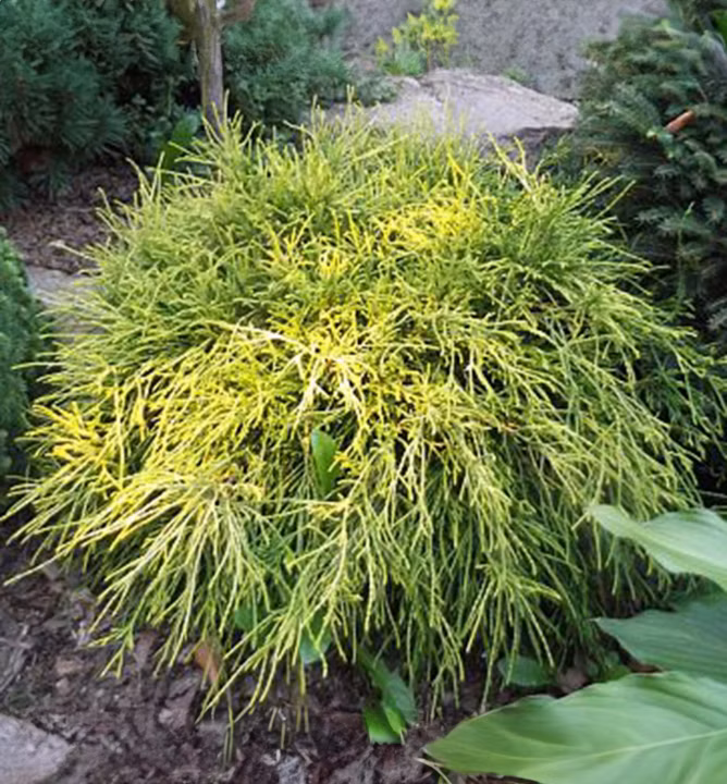 0c19e00efdc7b83a417fb6b37c587671