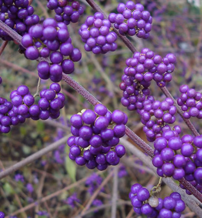 0cc8fd3a1502f5c2ec4323f37a24e2f5