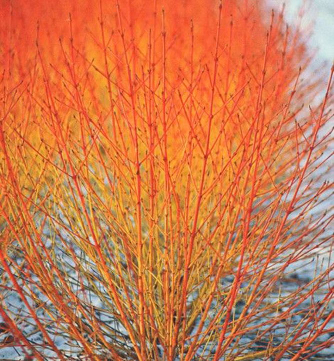 0ce0a15254384cb4e027c45a8a9d944e