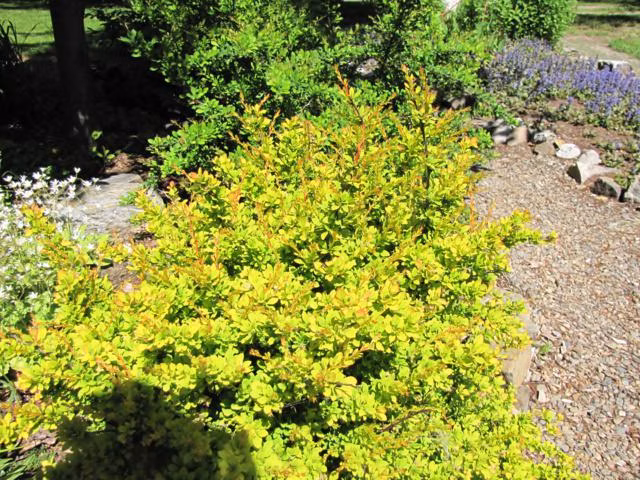 0d387179b3ddc5b21bb2db7de83ccc3e