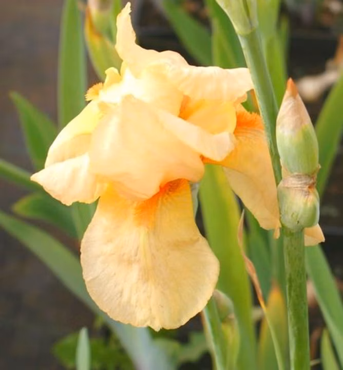 0d422a233ba82bae16836d4ff8808d03