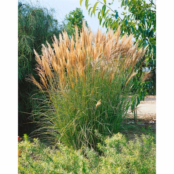 0d49928a063b87d66d96d99c37883d5c