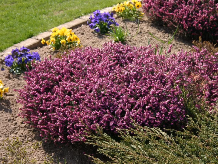 0d591b20fb216a437f0b4d7cb10805f7