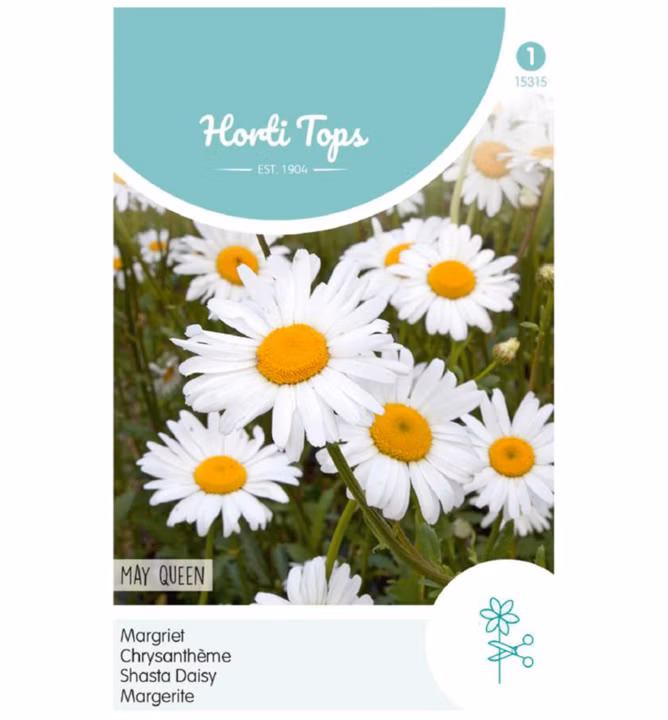 0d642349977eec23e39c3ae3241adf82