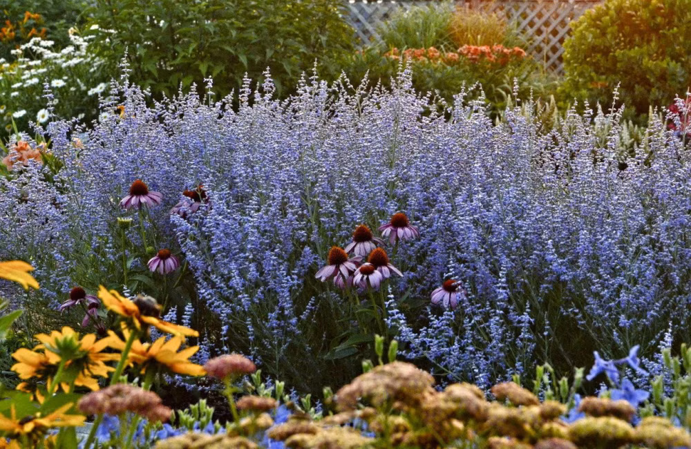 0d809b5de592f68eea58cf03d7acc7ed