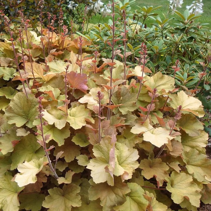 0d91b97ff8f8235f0ef890a381f49e5c