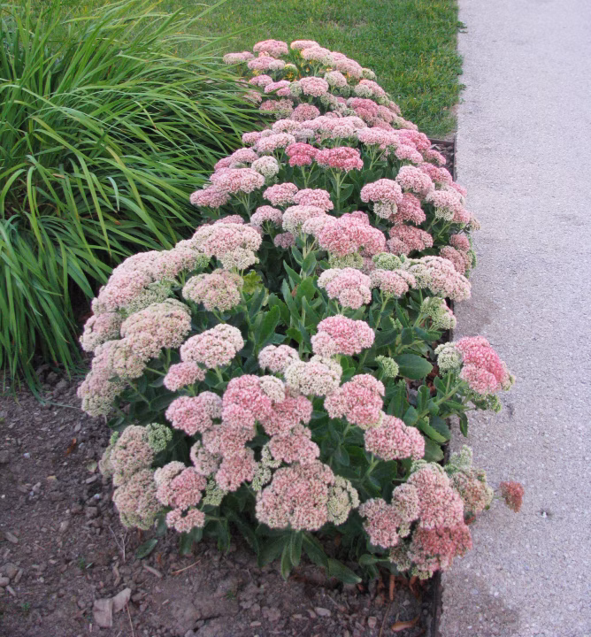 0d9ee58745c612bd542b13521d3b1b51