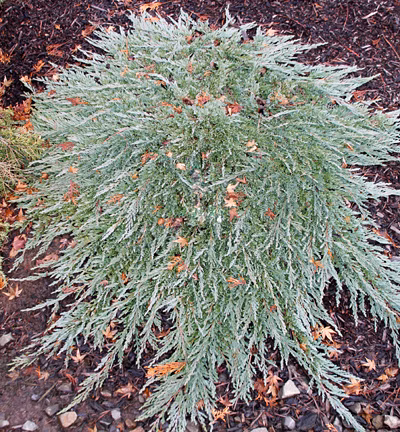 0dcbc456916caf3f7b63d2e079694a9a