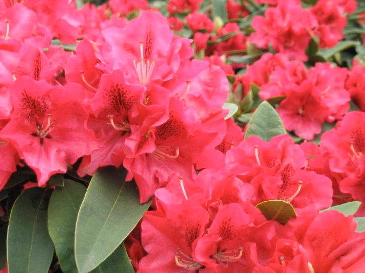 0dd80d1d45a1209b64614041f9c9b557