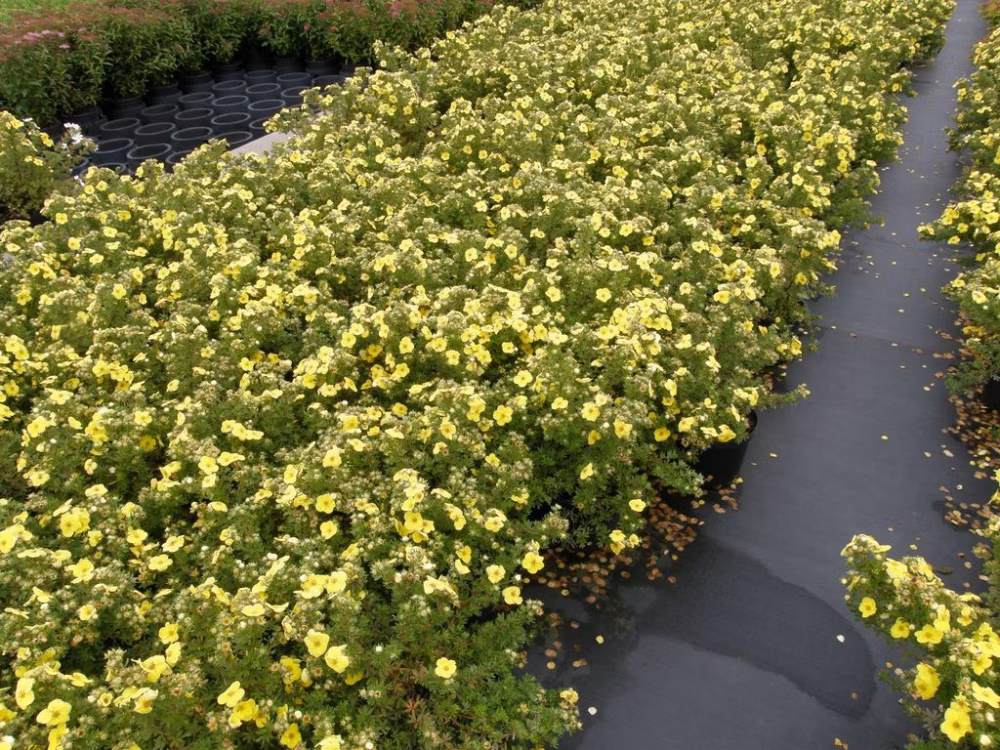 0dec6c13d1f0b9cc0747bb68b8928c54