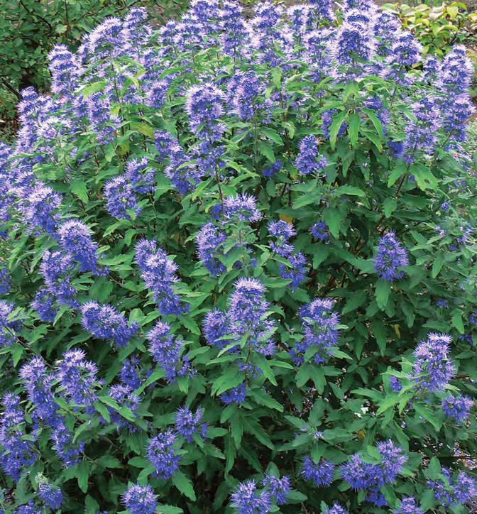 0e122f98866884bd81aac2be0965251f