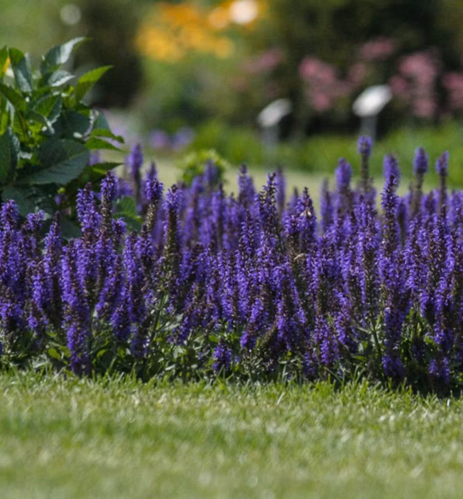 0e2cd6112aa166adb078d77e233c02ff