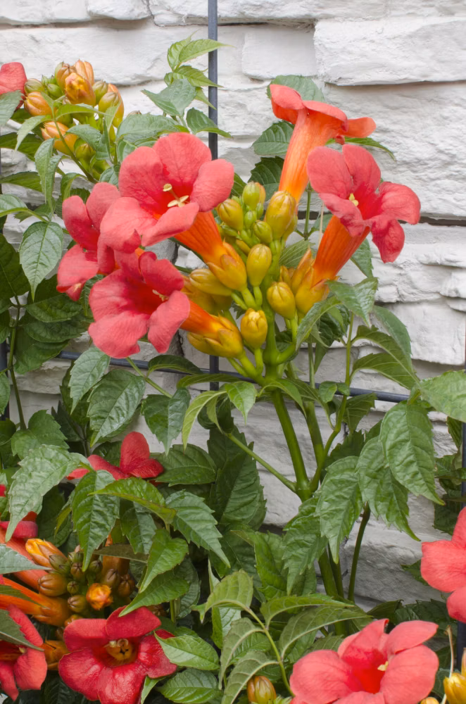 0e4b992d87103726970053a37673b1c5