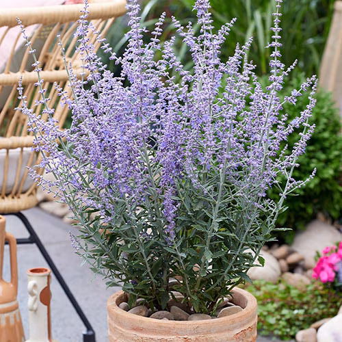 0e61a504c7bb6e0608f7024e6e49d07d