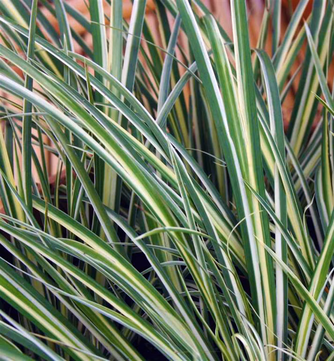 0e75c6110106a7e9cfe511190dd6dddd