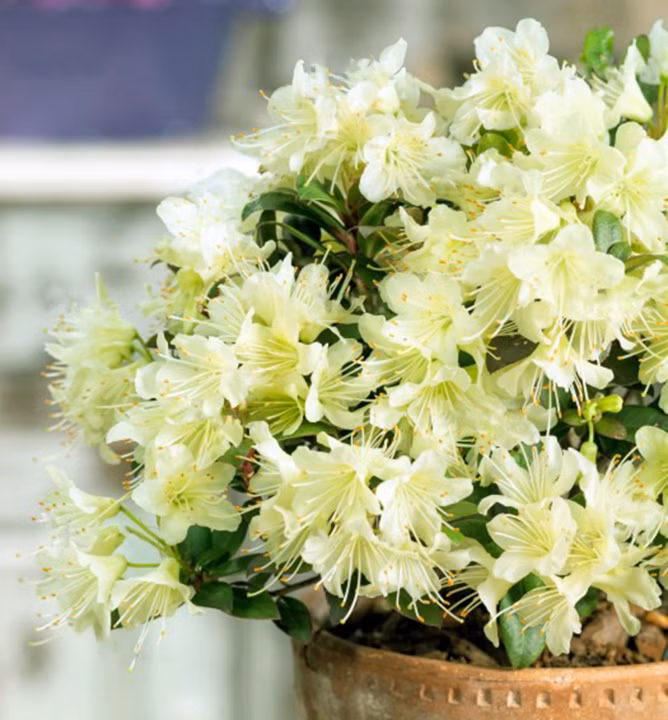 0e908355d183f709afdb258c1f07aa3a