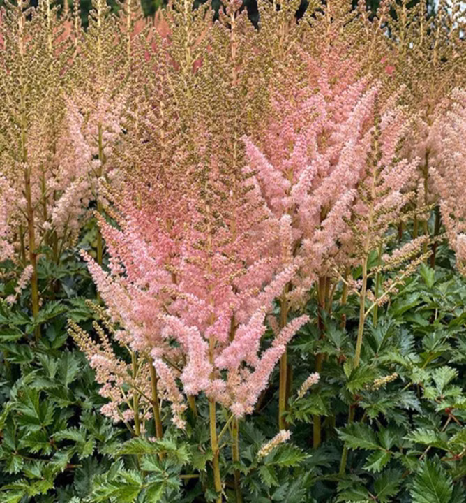 0ee0321b9ebe363c5f0f4a9251a91fab