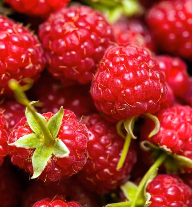 0f1ba0cf18f13c4c5c7e01b300d030cd