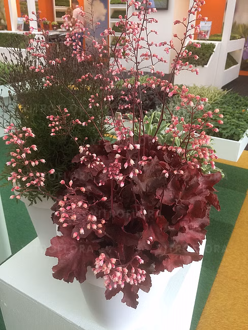 0f43cfe3b8286828a9ff4f1d301ab6b0