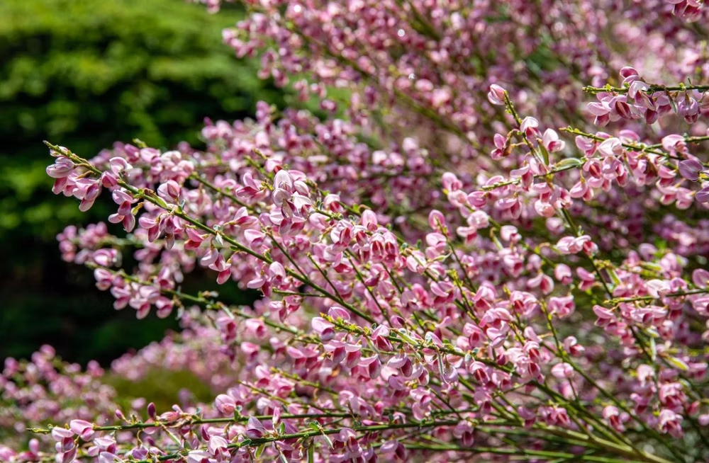 0f643bb2890f1f6e018b9d54fc45fc1e