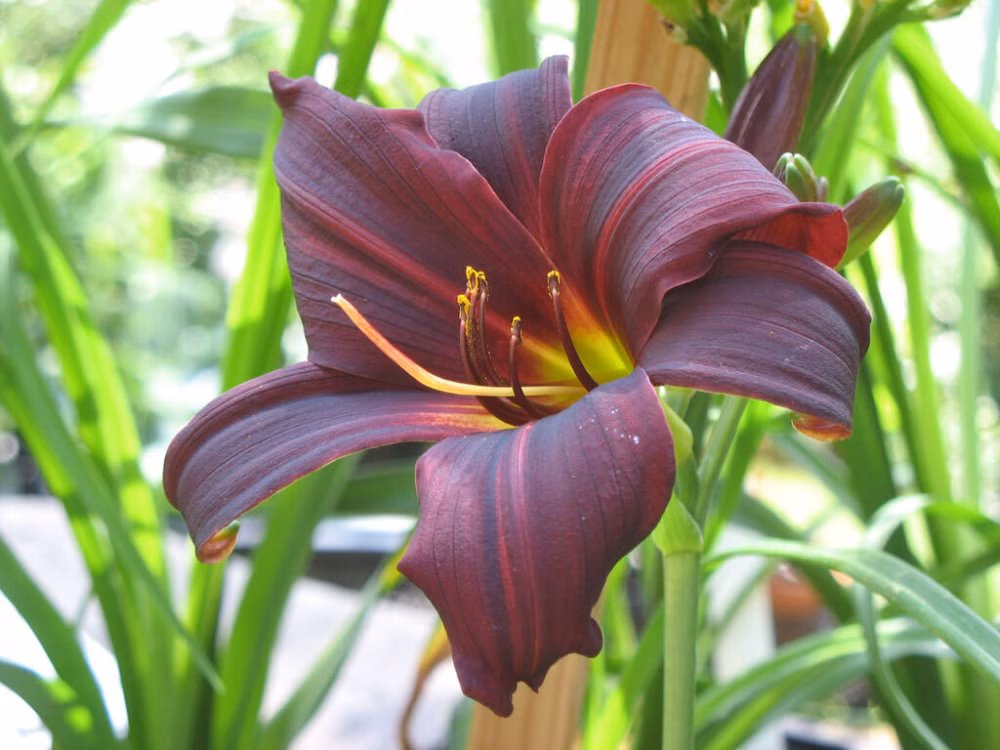 0f9d038bdeff2b45bd084644d7fa002c