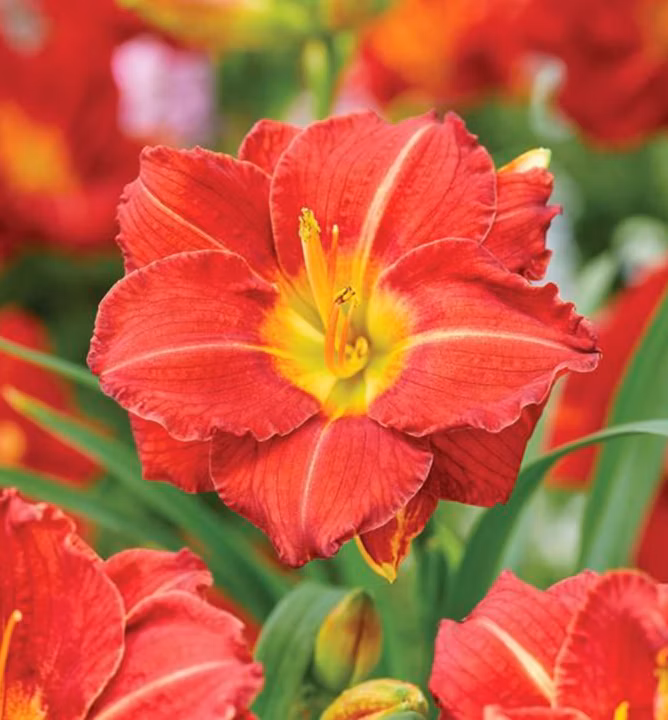 0fa4932a5aba943db411947e5855b8e9