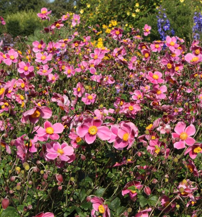 0fc3b2dd765e338806a216ab4b5e8428