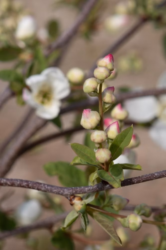 10720655c73b6c61f211b8b211d41fe8