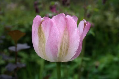 1085b0ea36dc4633c8f89293c094f97e