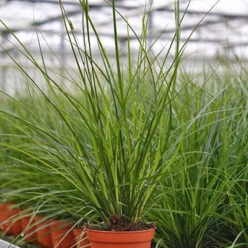 10ba773e7be66b4de07a03f0e8ea3ec8