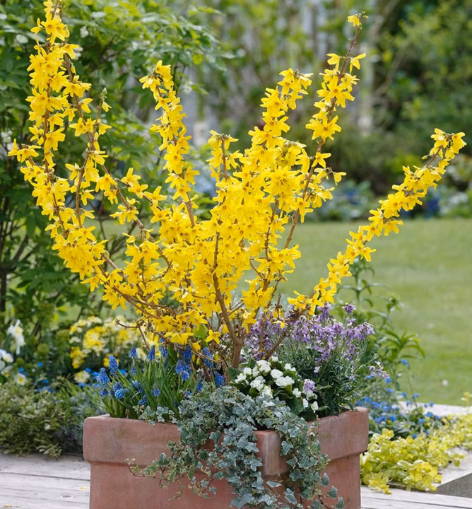 10c5b5e2a4e7374ecc0f1b4c6e46aa57