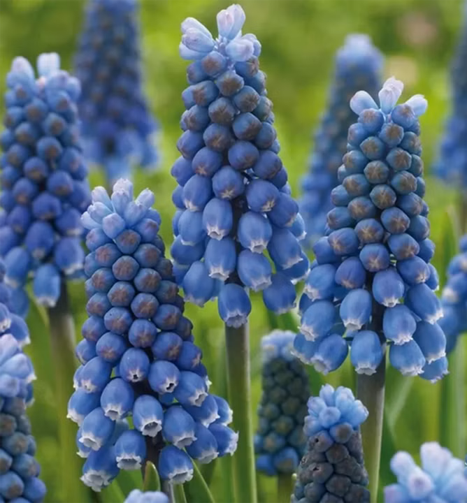 115d7d76e804da2fb509d14fd17f1d3b