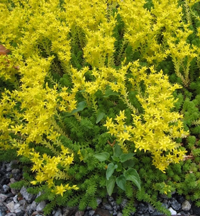 116bd8aa59e4b8e4dbba6ab107bba192