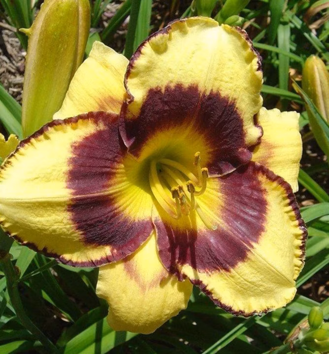 122ee44f0a0921eec98a08e27c875240