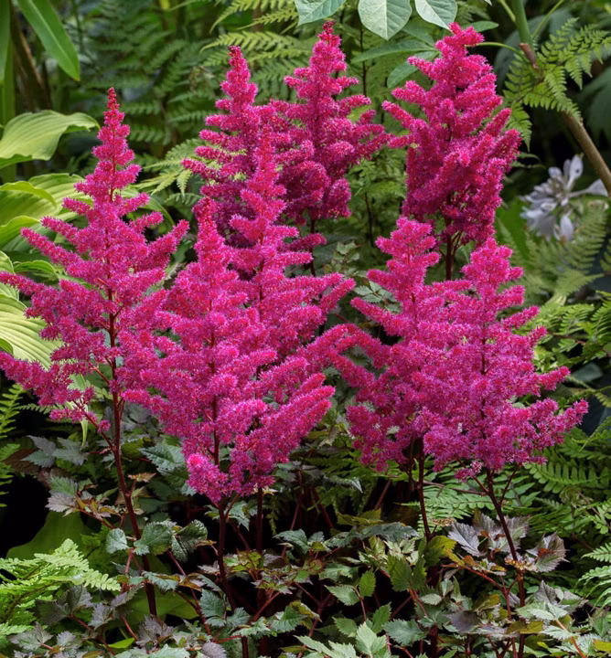 123102c29ee0bf3c4e0315ad1841f668