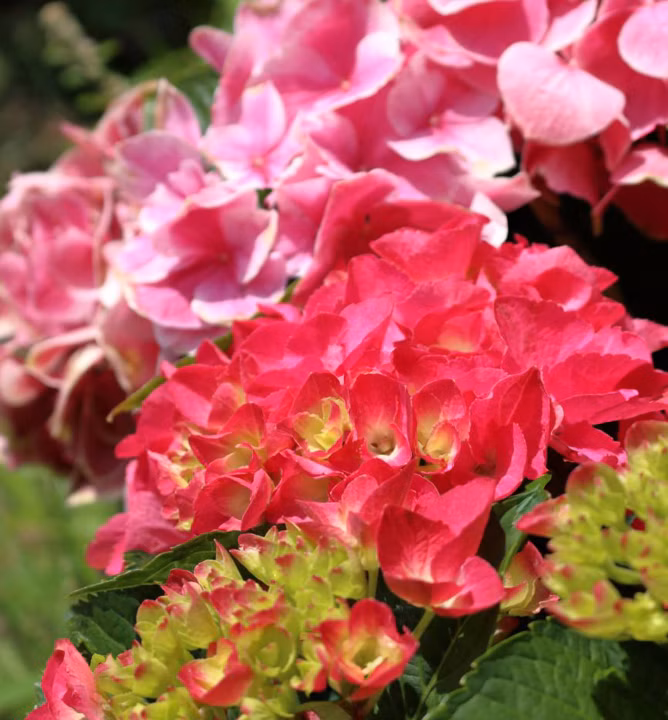 1233299c4e8204512884e54cab0300c0