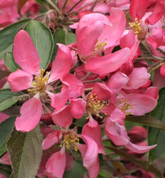 125c59c7593adb110da78ccbb777eabb