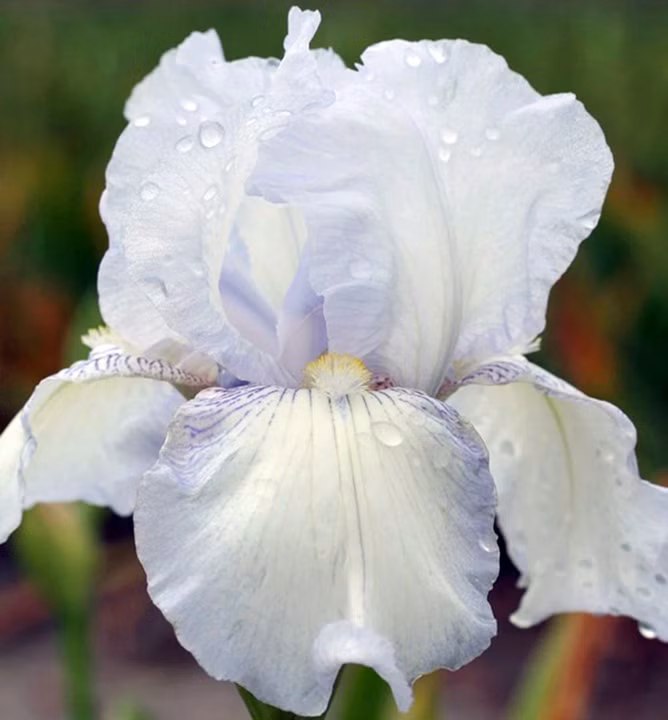 126e0b8cdf8a832e310344aeb402bbdb