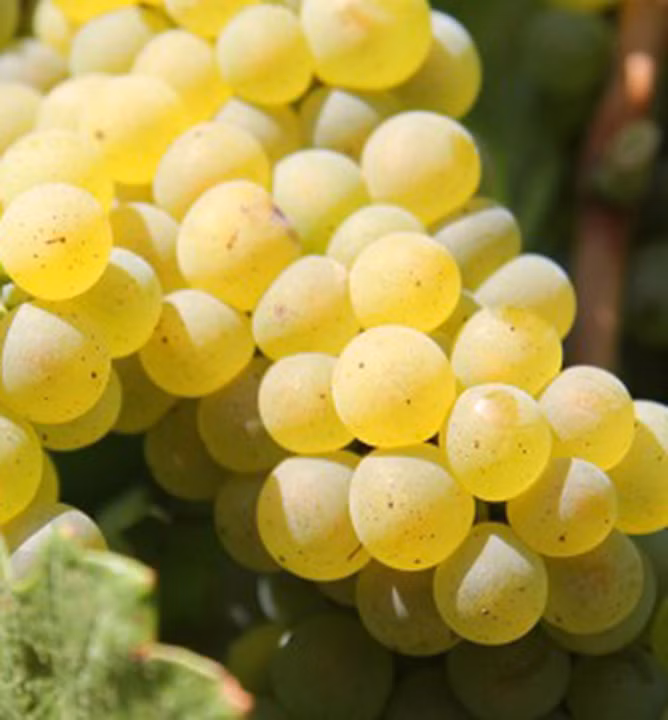 12ae7d06ebf553c1bef0b17e7cb28c15