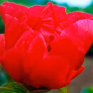 12bb5f01fb2f6f53e929783c6576a465