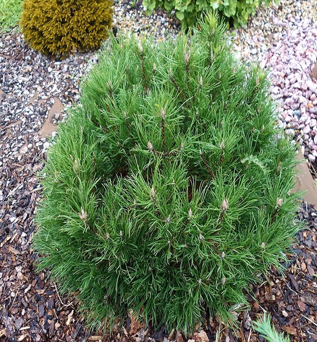 12bc923d7215a5d3a01bab1f7c400849