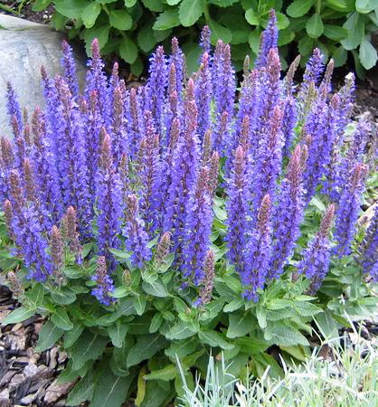 12c890ccc0cd3f56be7db1add7d30ff1