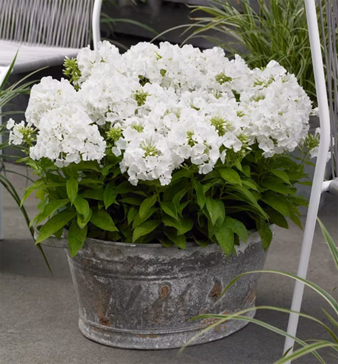 12eab45a65d306e4fc253d4d13f6ebf6