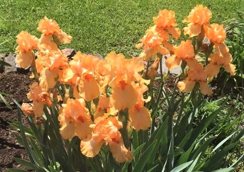 12ee44fde2b8fd04ffd30fdb85385062